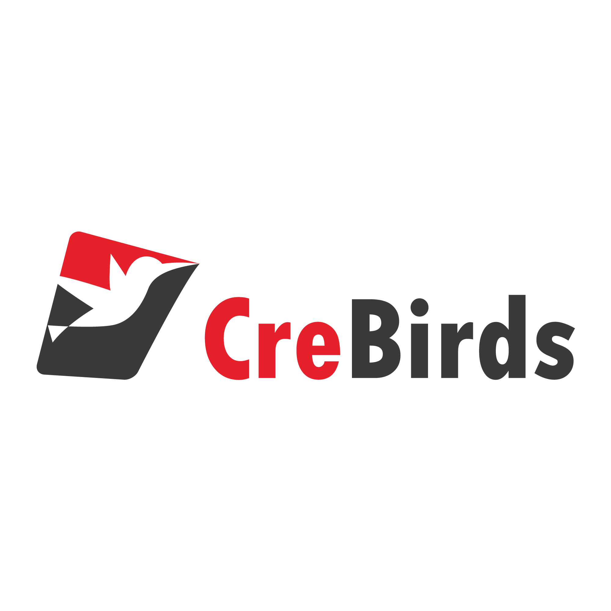 Creative-Birds